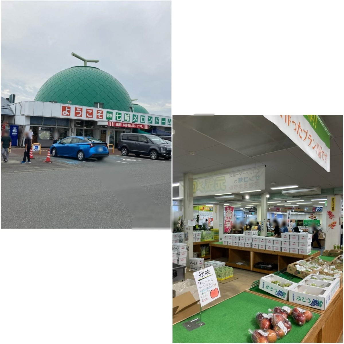 道の駅 七城メロンドームの外観