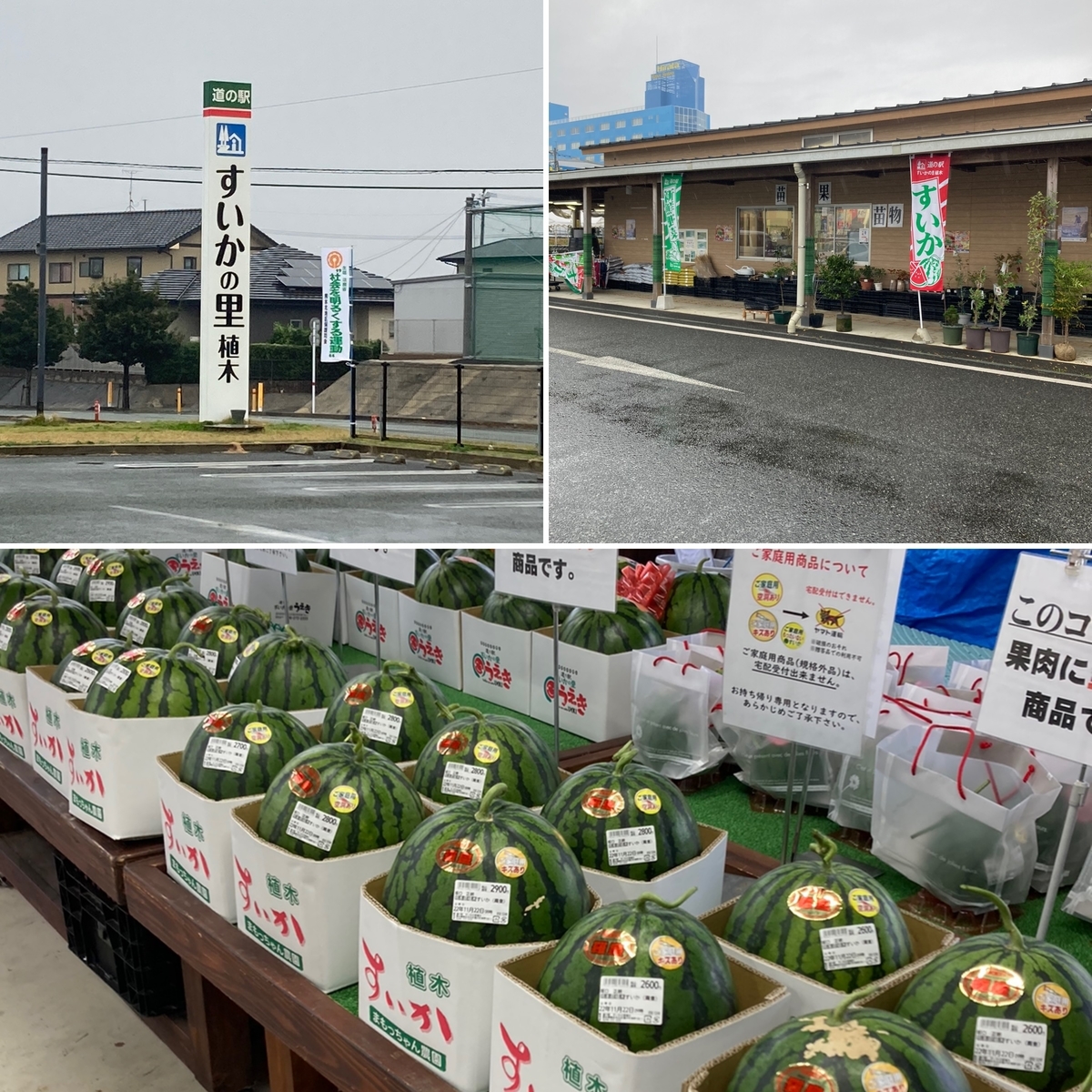 道の駅 すいかの里植木 直売所に並ぶスイカや農産物