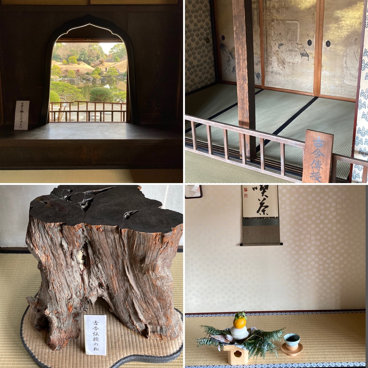 古今伝授の間でお抹茶