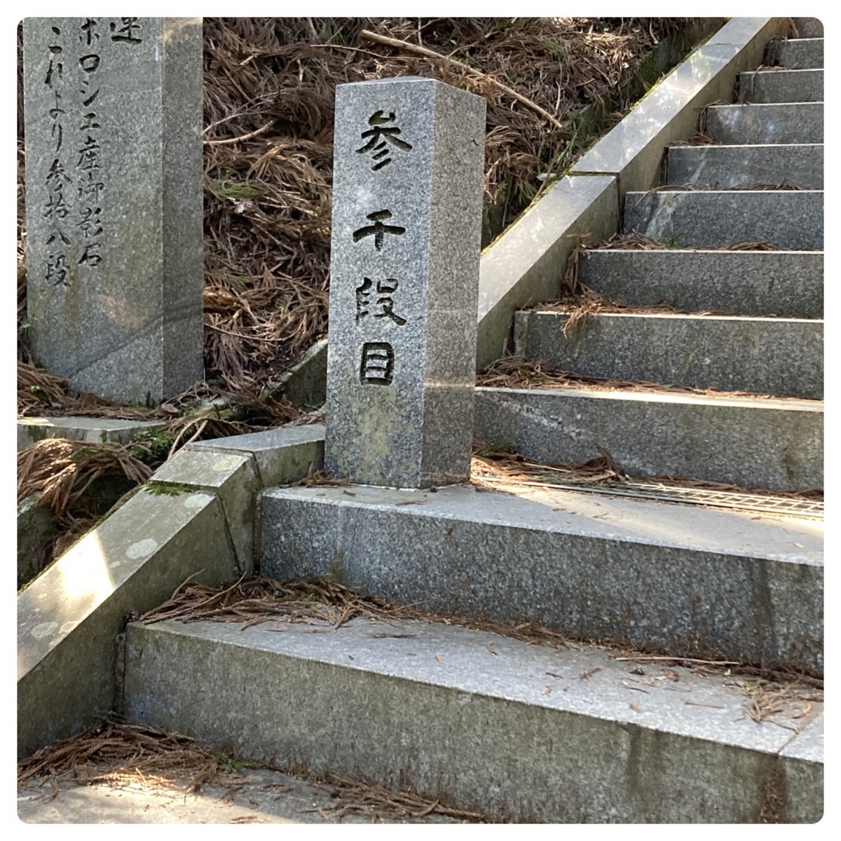 3000段付近