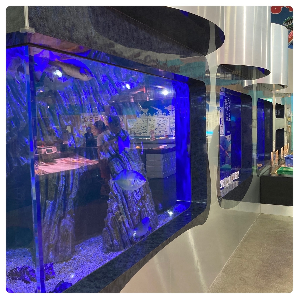 鮮魚コーナー